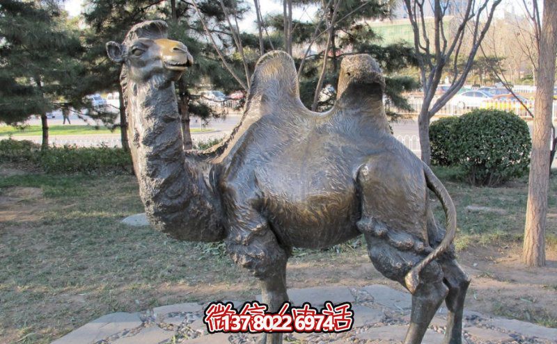 創(chuàng)意大型玻璃鋼駱駝雕塑，在草地上擺放，一眼回頭